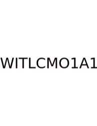 What Is The Least Common Multiple Of 11 And 12