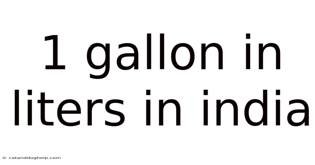 1 Gallon In Liters In India