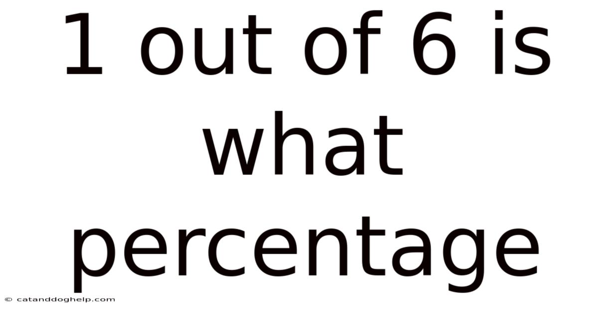 1 Out Of 6 Is What Percentage