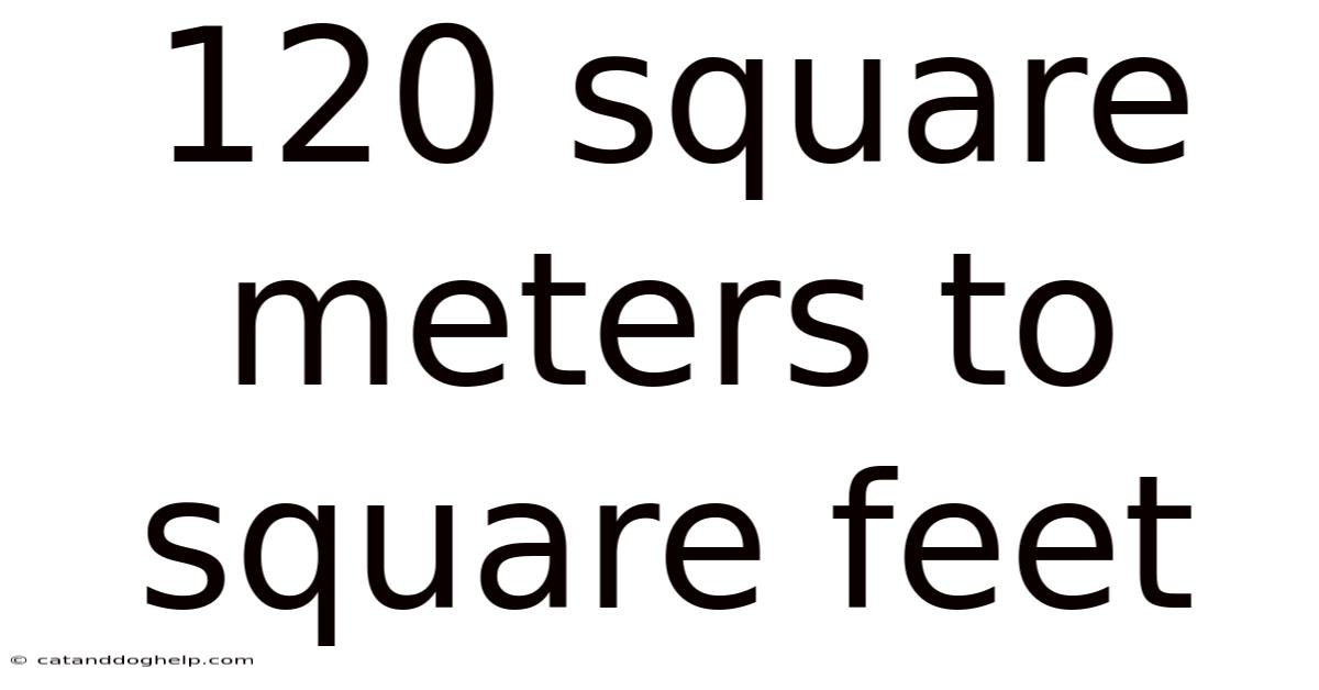 120 Square Meters To Square Feet