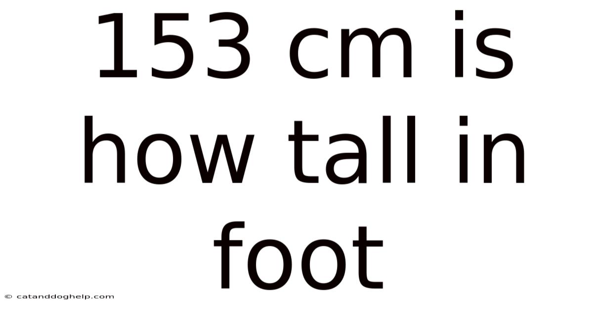 153 Cm Is How Tall In Foot