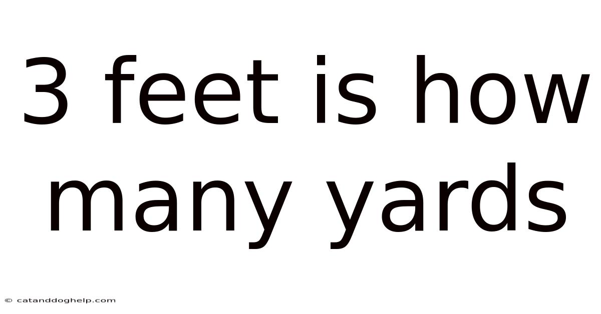 3 Feet Is How Many Yards