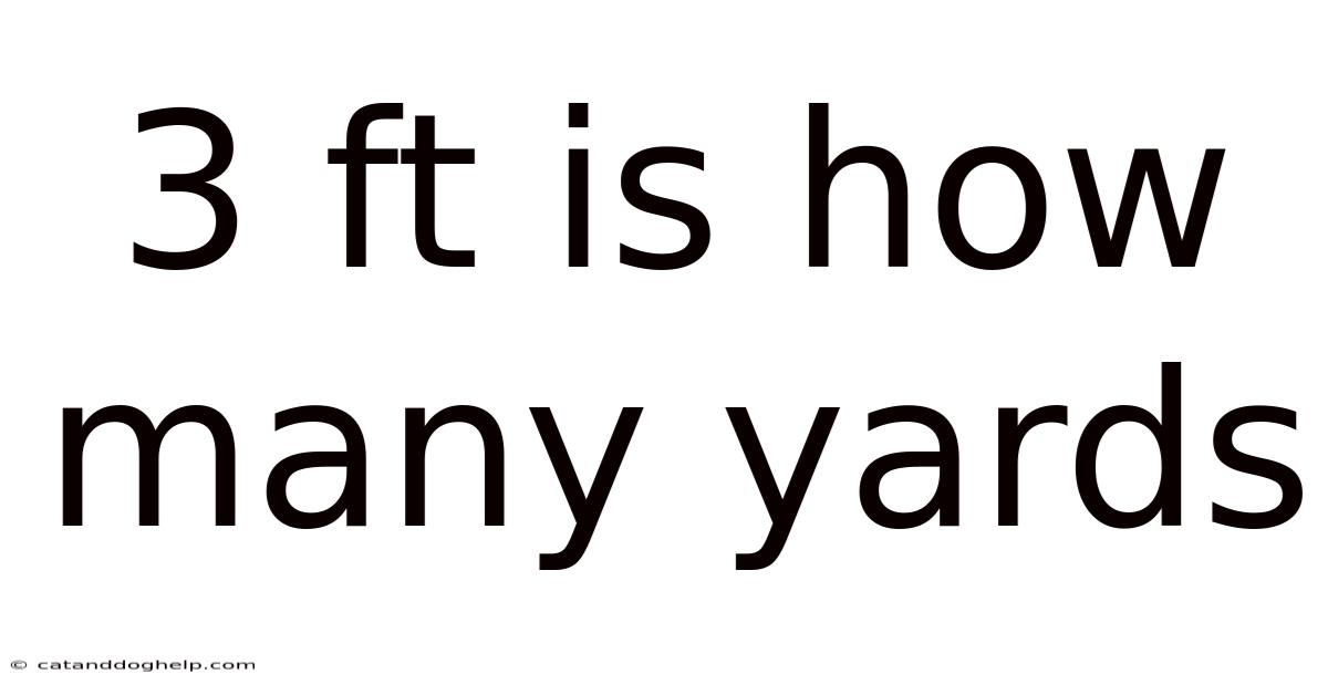 3 Ft Is How Many Yards