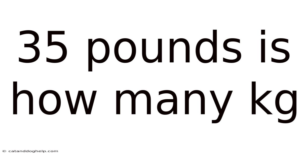 35 Pounds Is How Many Kg