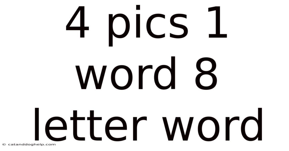 4 Pics 1 Word 8 Letter Word
