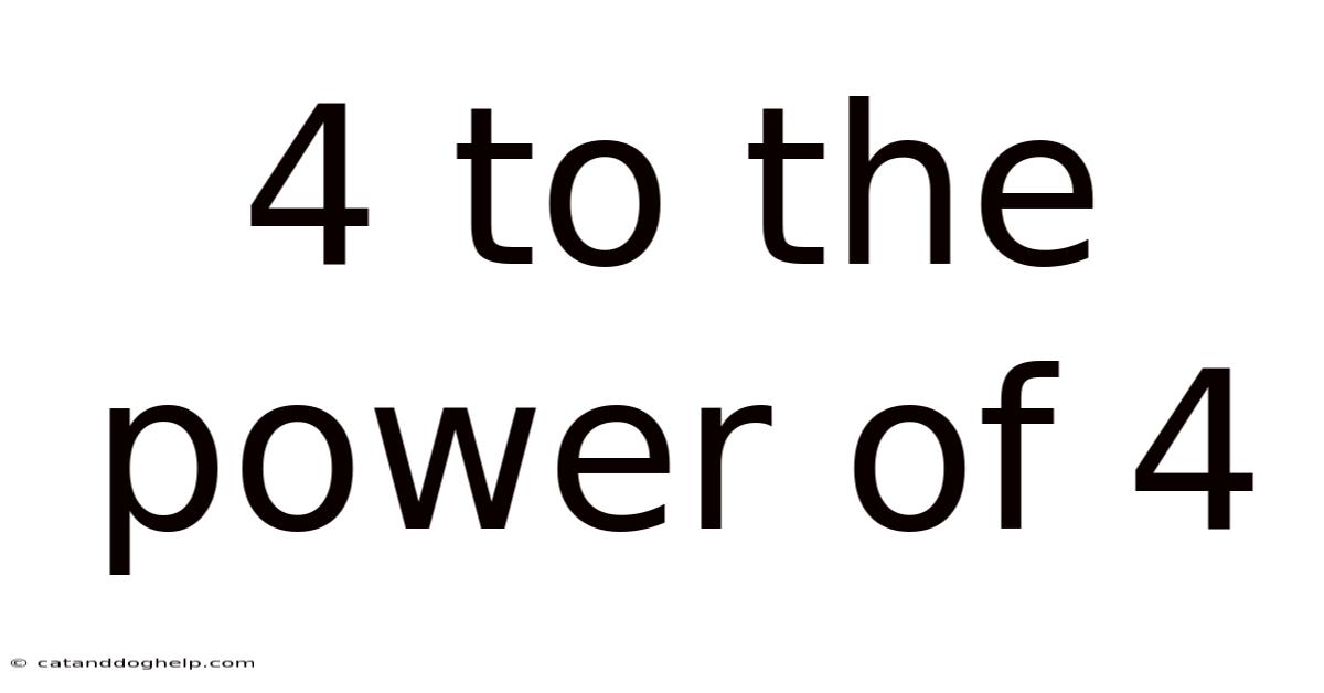 4 To The Power Of 4