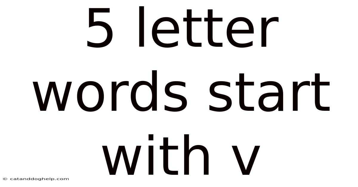 5 Letter Words Start With V