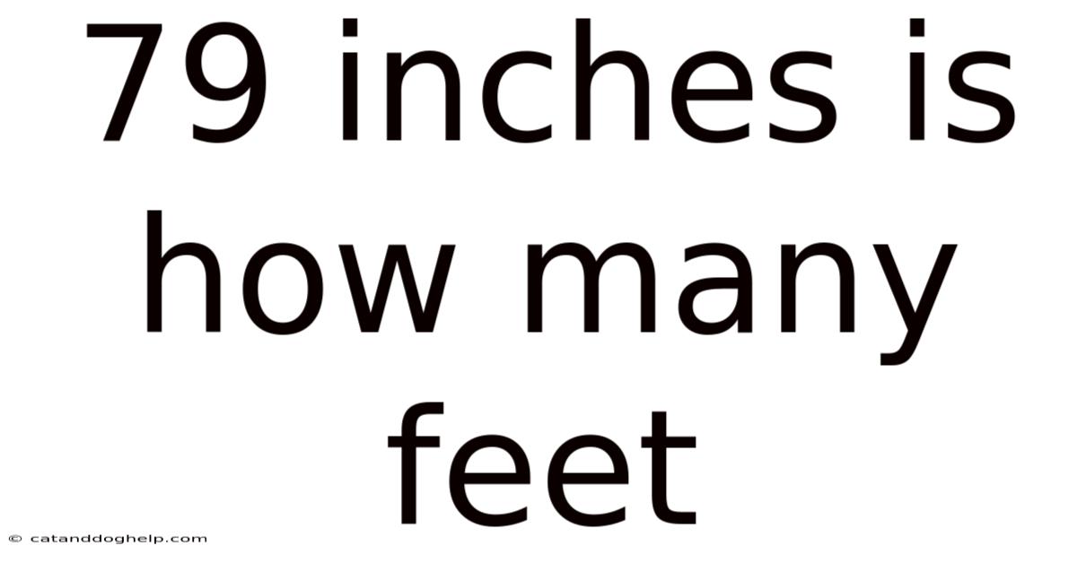 79 Inches Is How Many Feet