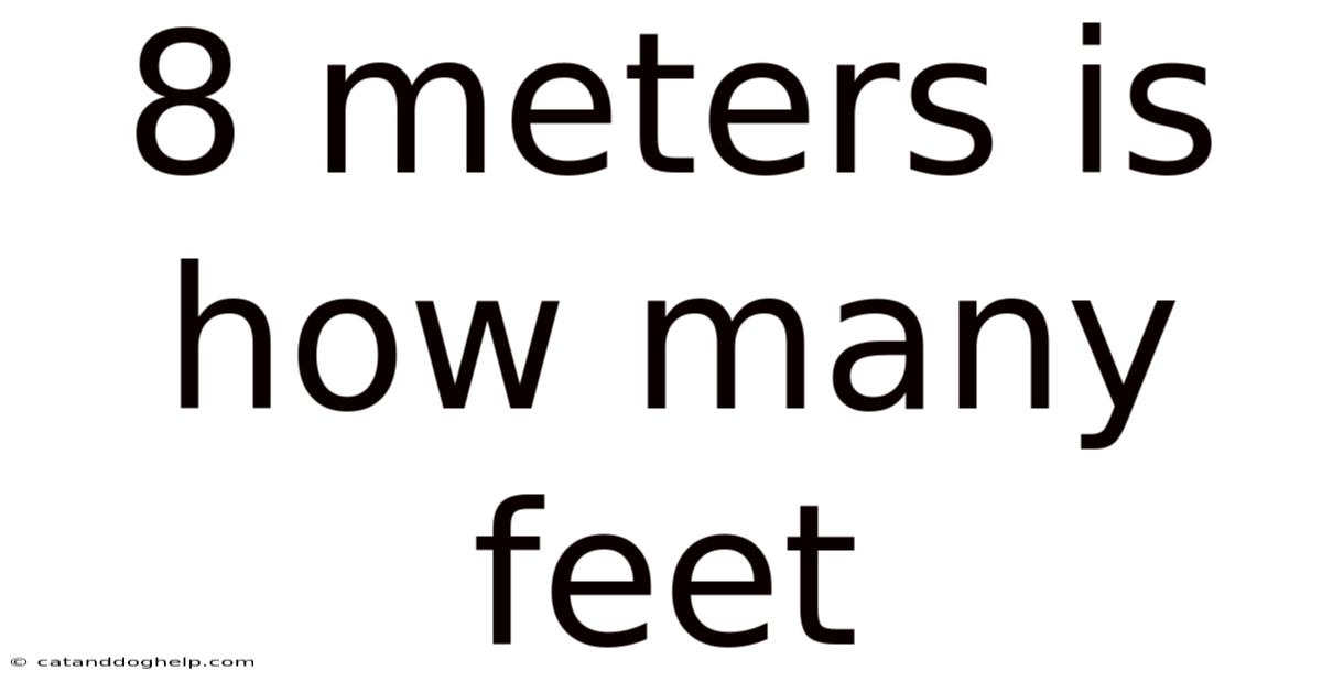 8 Meters Is How Many Feet