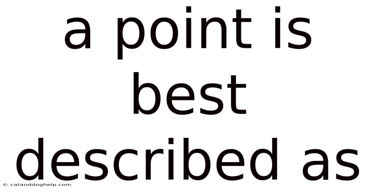 A Point Is Best Described As