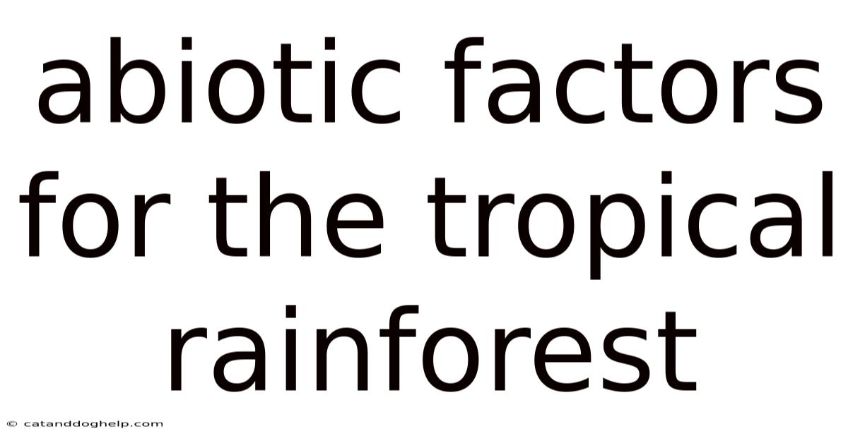 Abiotic Factors For The Tropical Rainforest