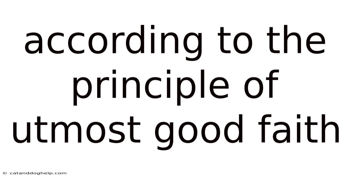 According To The Principle Of Utmost Good Faith