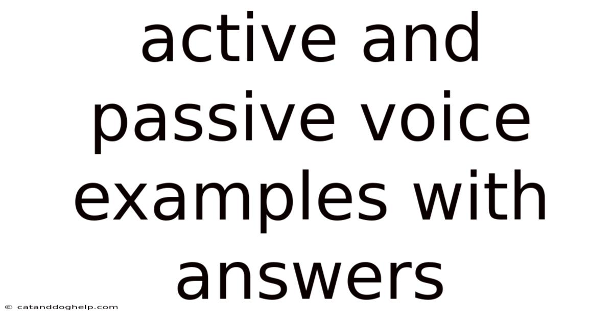 Active And Passive Voice Examples With Answers