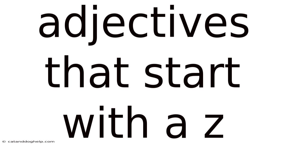 Adjectives That Start With A Z