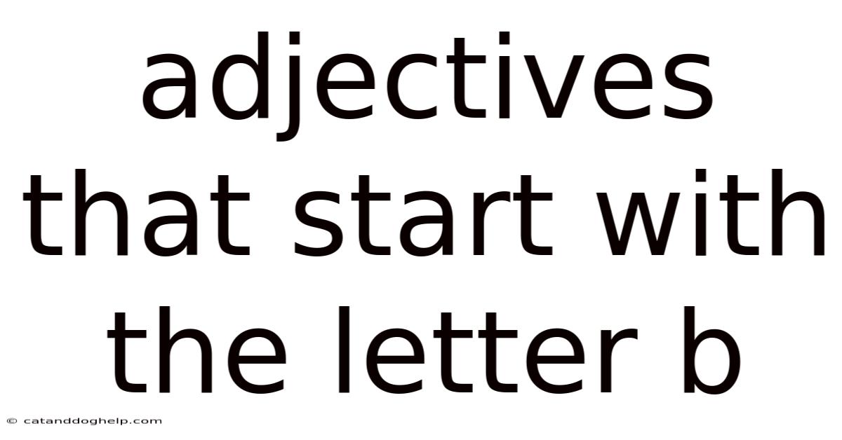 Adjectives That Start With The Letter B
