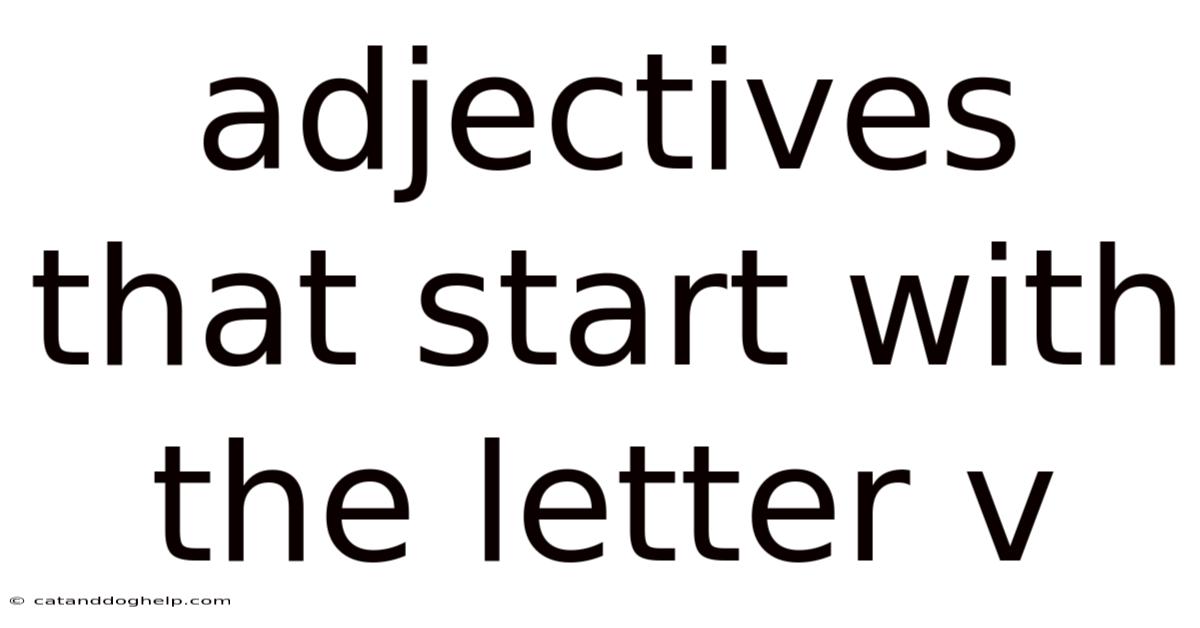 Adjectives That Start With The Letter V