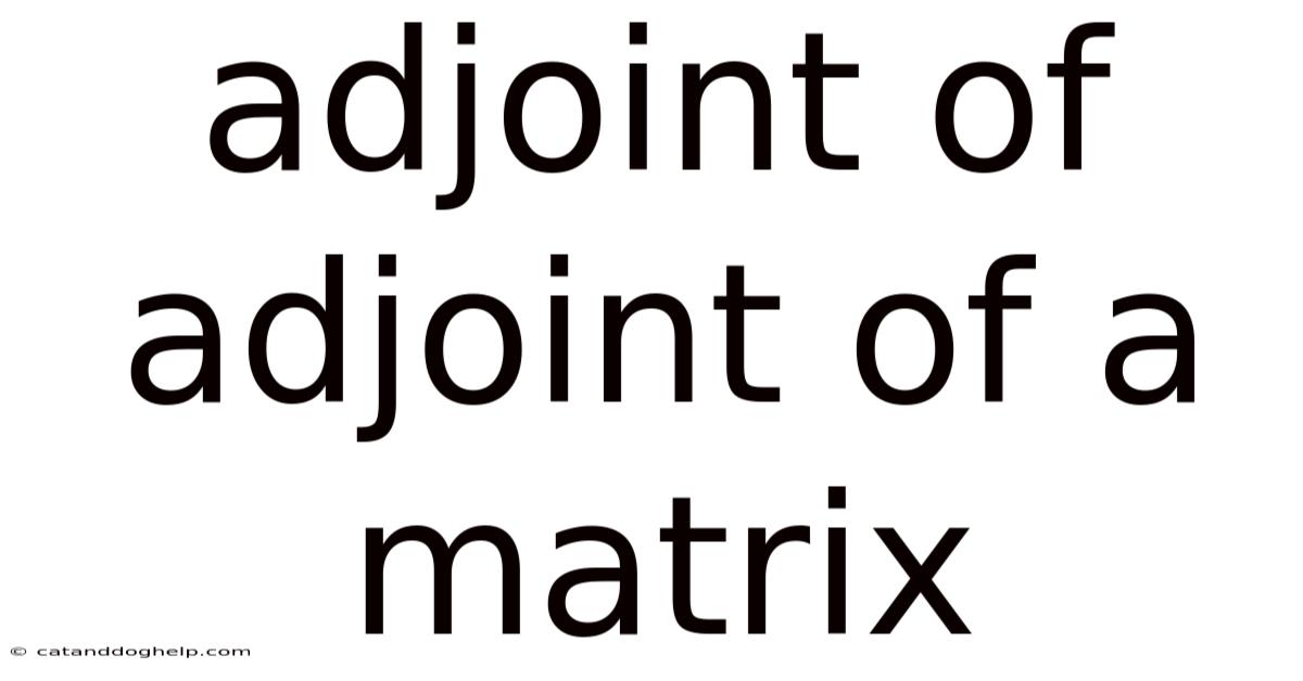 Adjoint Of Adjoint Of A Matrix