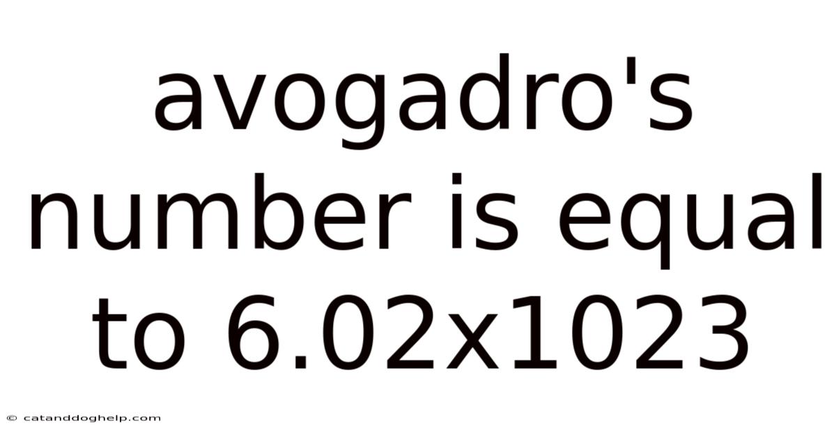 Avogadro's Number Is Equal To 6.02x1023