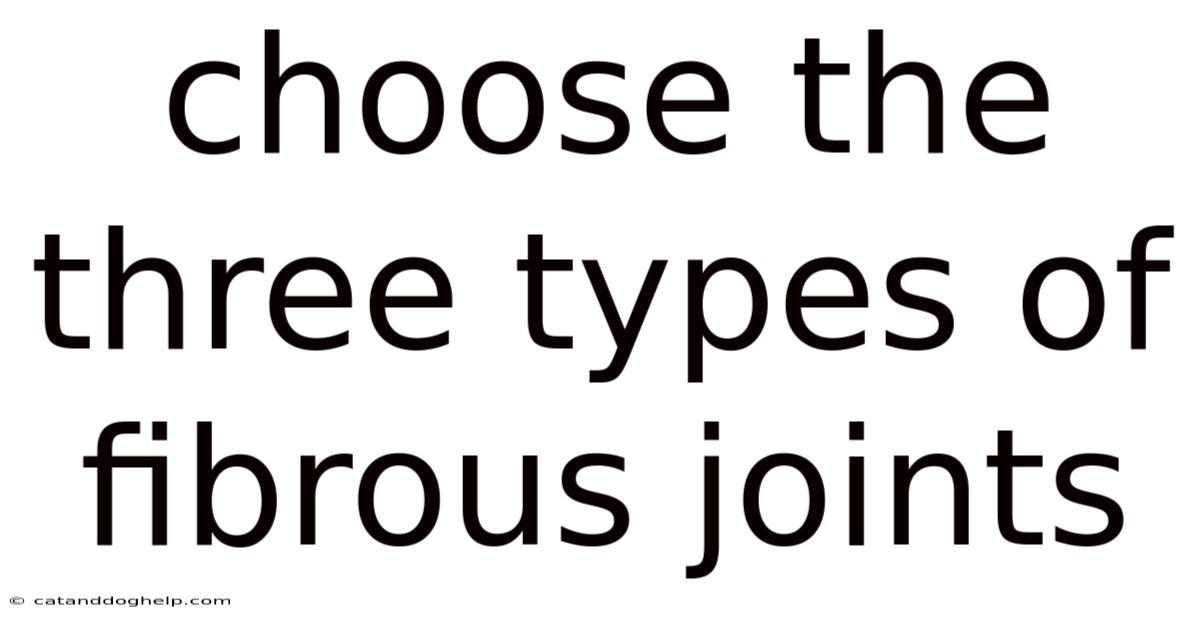 Choose The Three Types Of Fibrous Joints