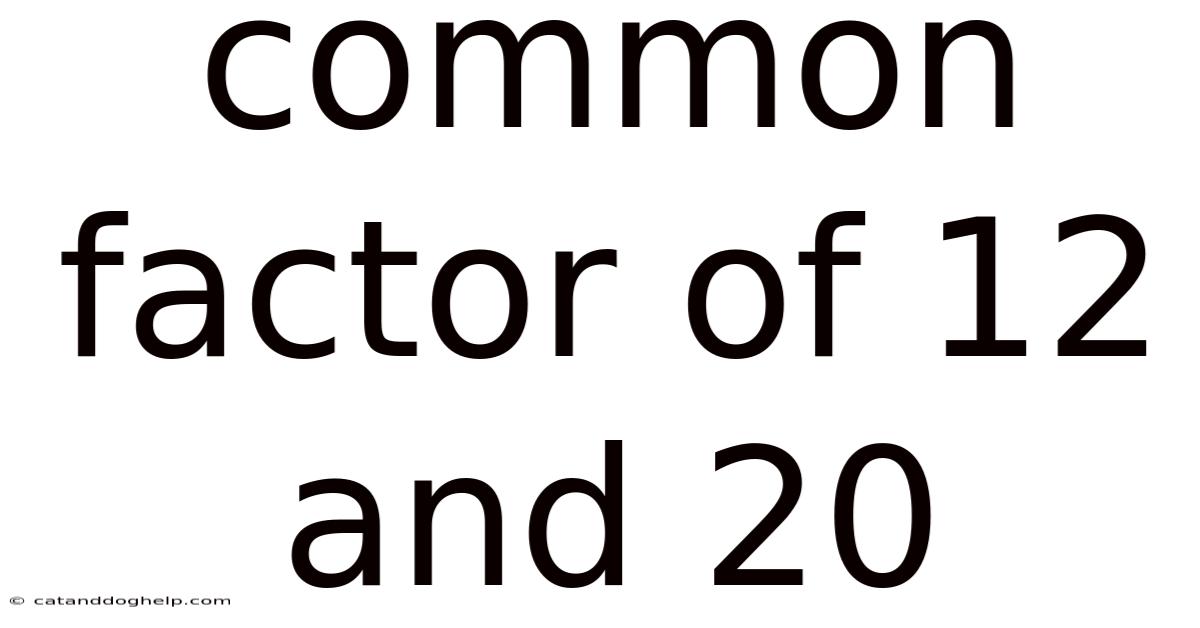 Common Factor Of 12 And 20