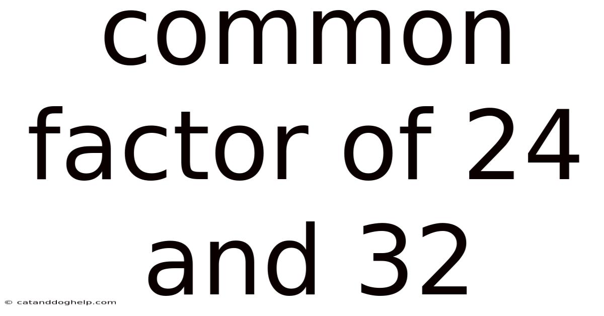 Common Factor Of 24 And 32