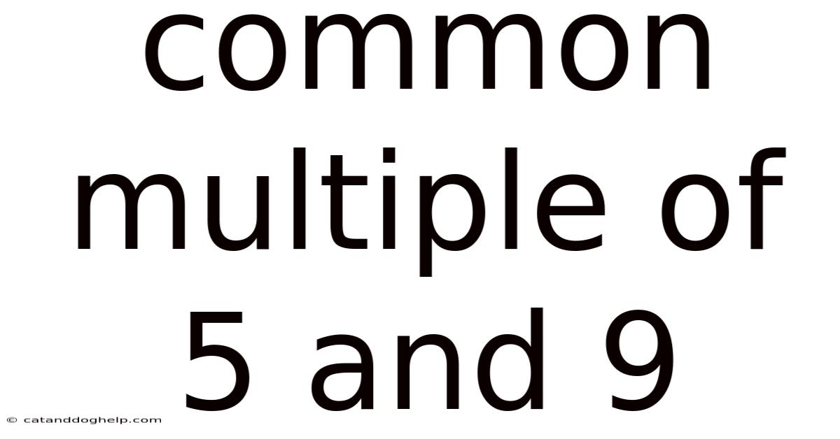 Common Multiple Of 5 And 9