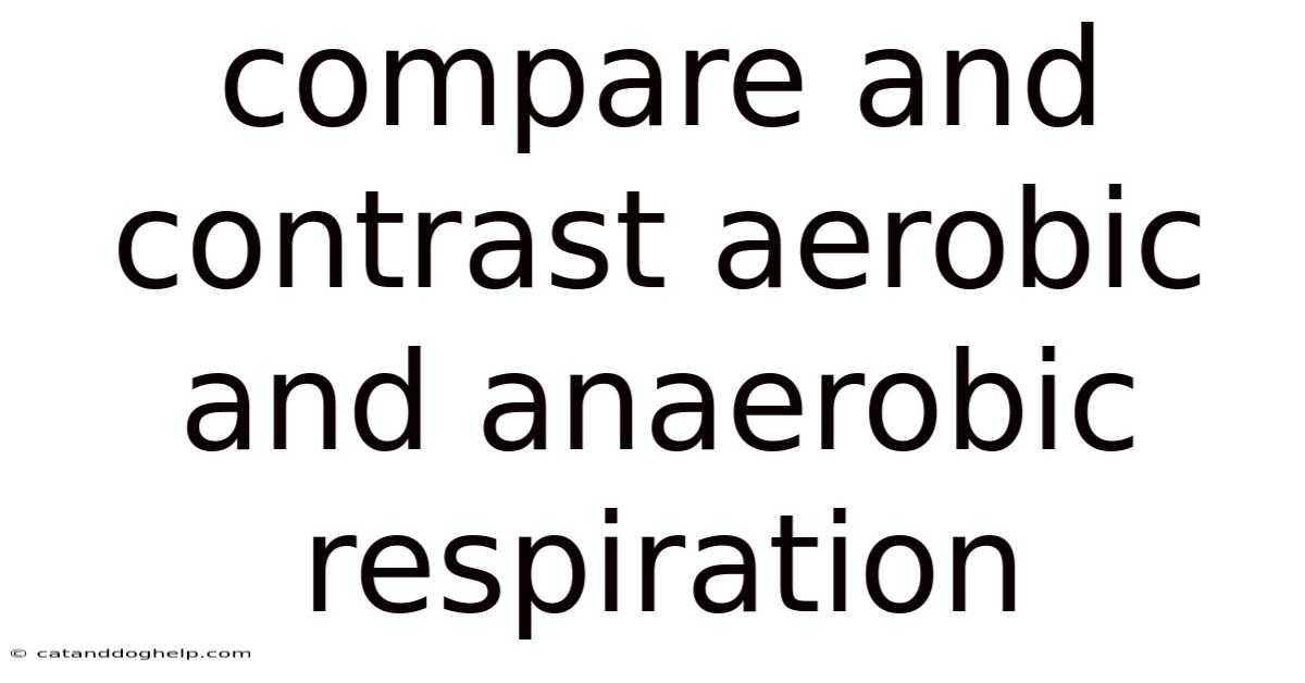 Compare And Contrast Aerobic And Anaerobic Respiration