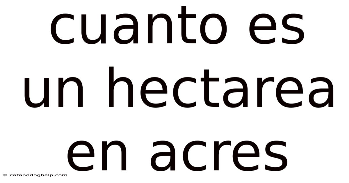 Cuanto Es Un Hectarea En Acres