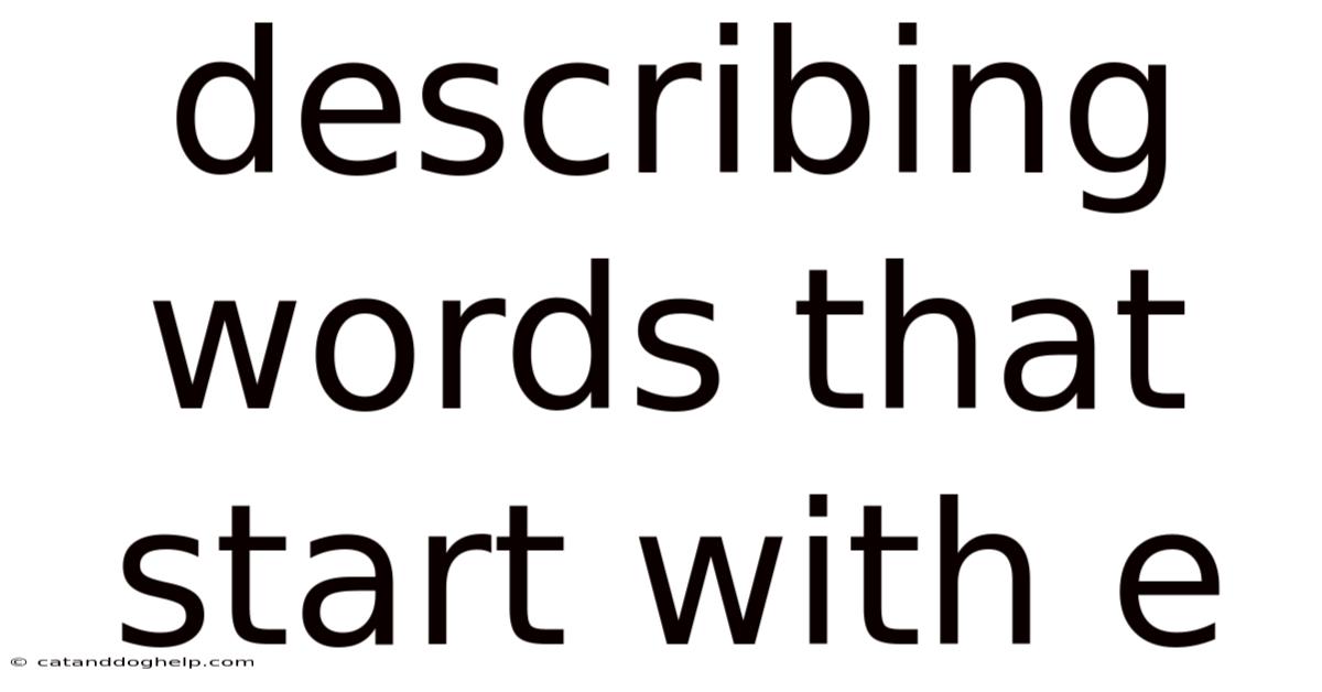 Describing Words That Start With E
