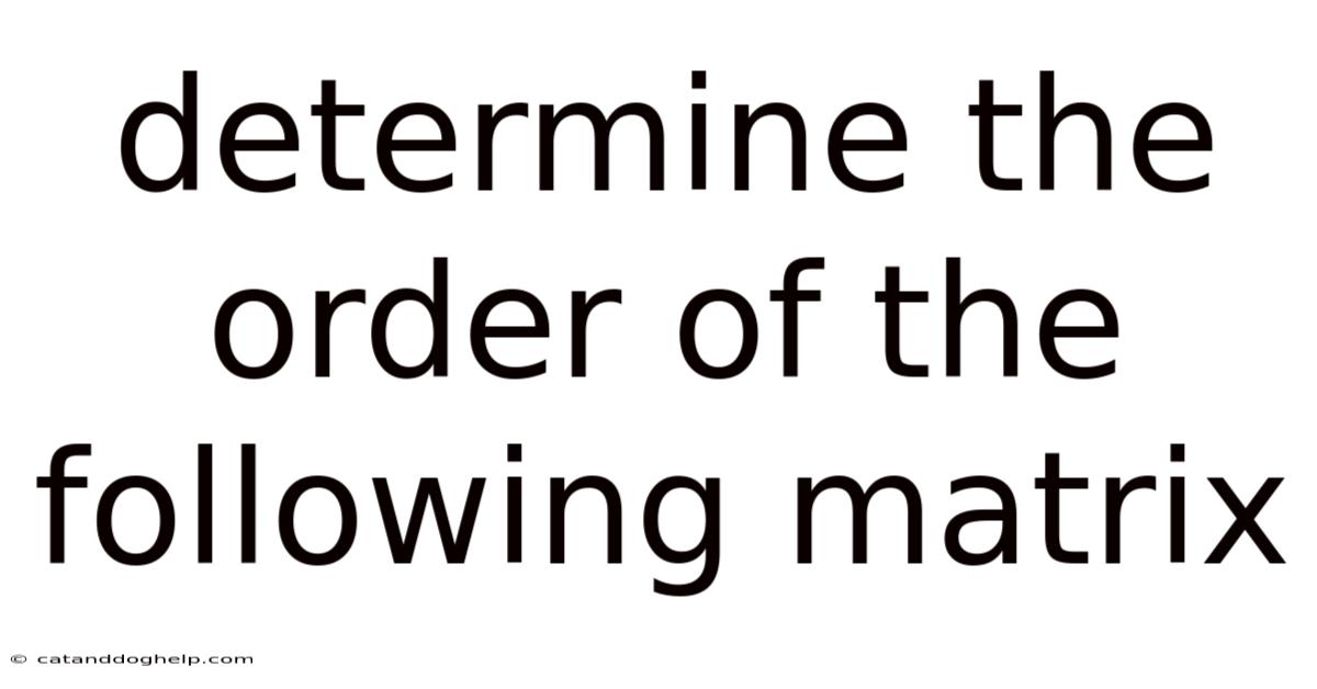 Determine The Order Of The Following Matrix
