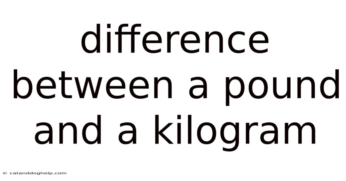 Difference Between A Pound And A Kilogram