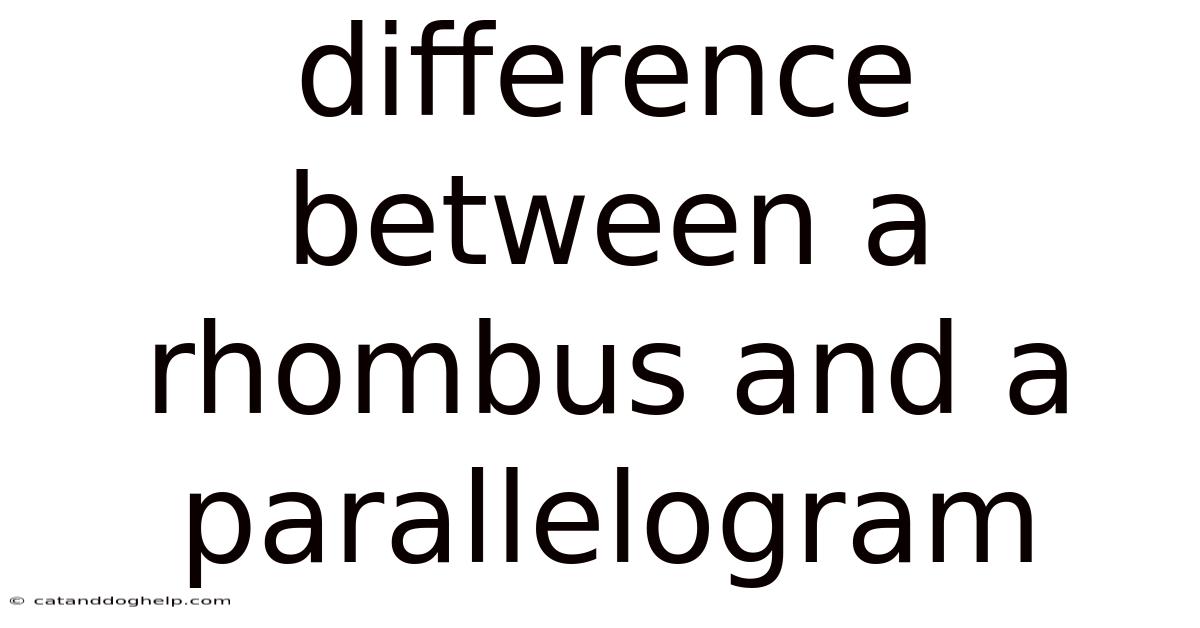 Difference Between A Rhombus And A Parallelogram