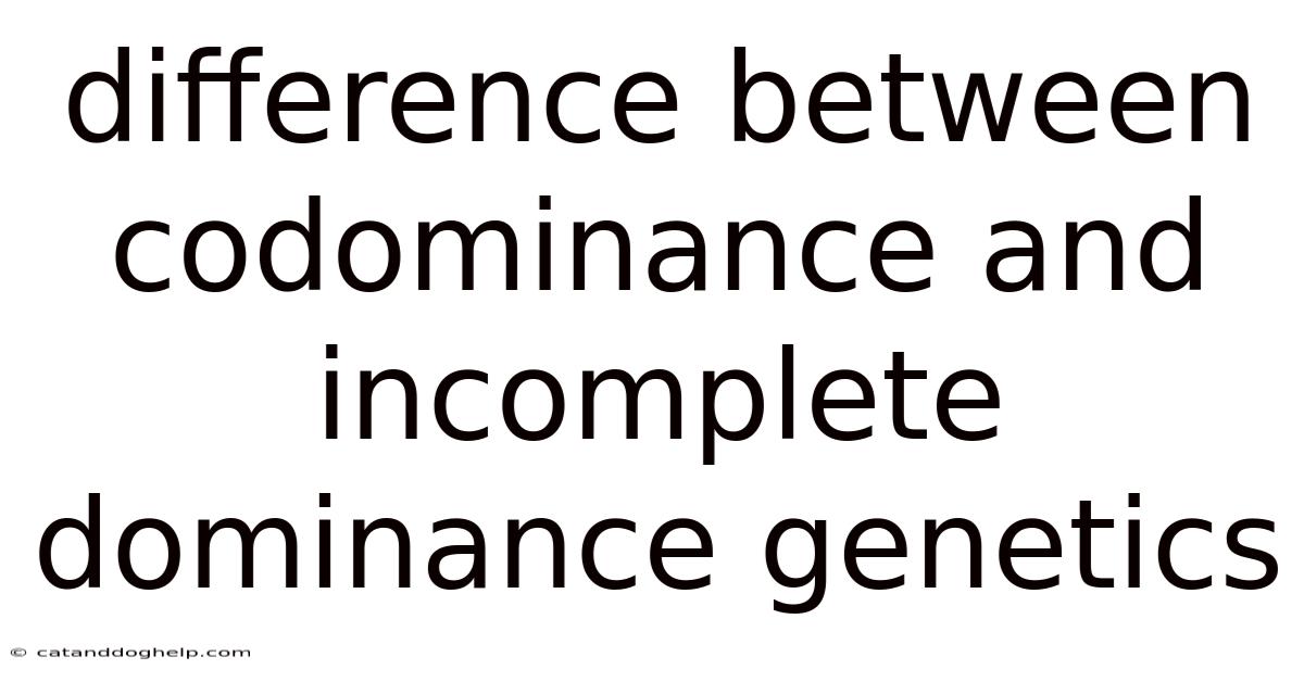 Difference Between Codominance And Incomplete Dominance Genetics