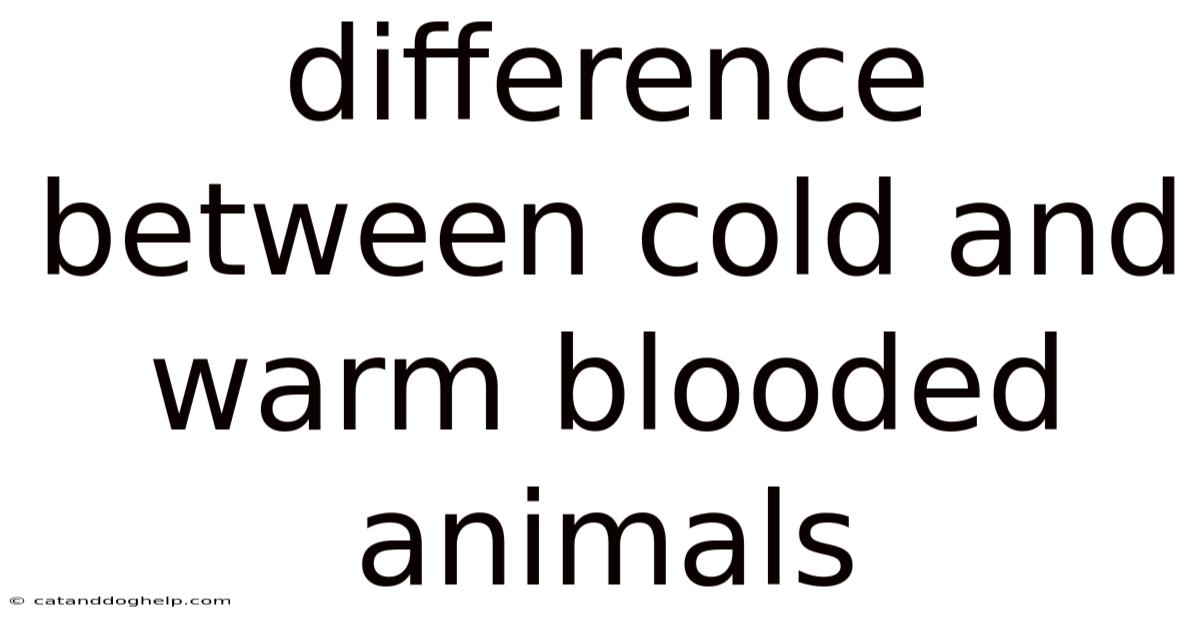 Difference Between Cold And Warm Blooded Animals