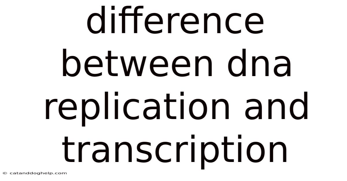Difference Between Dna Replication And Transcription