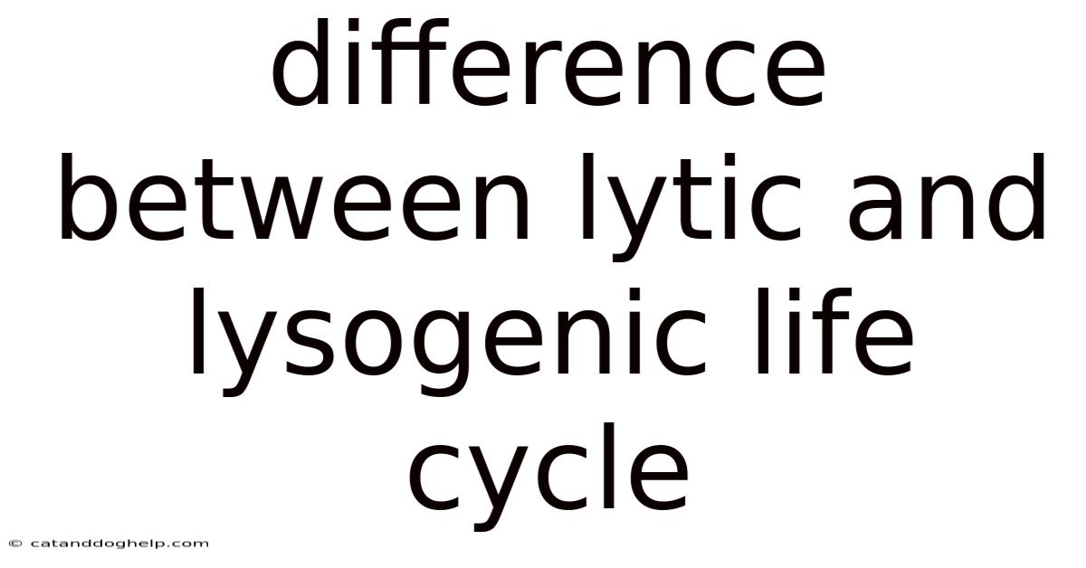 Difference Between Lytic And Lysogenic Life Cycle
