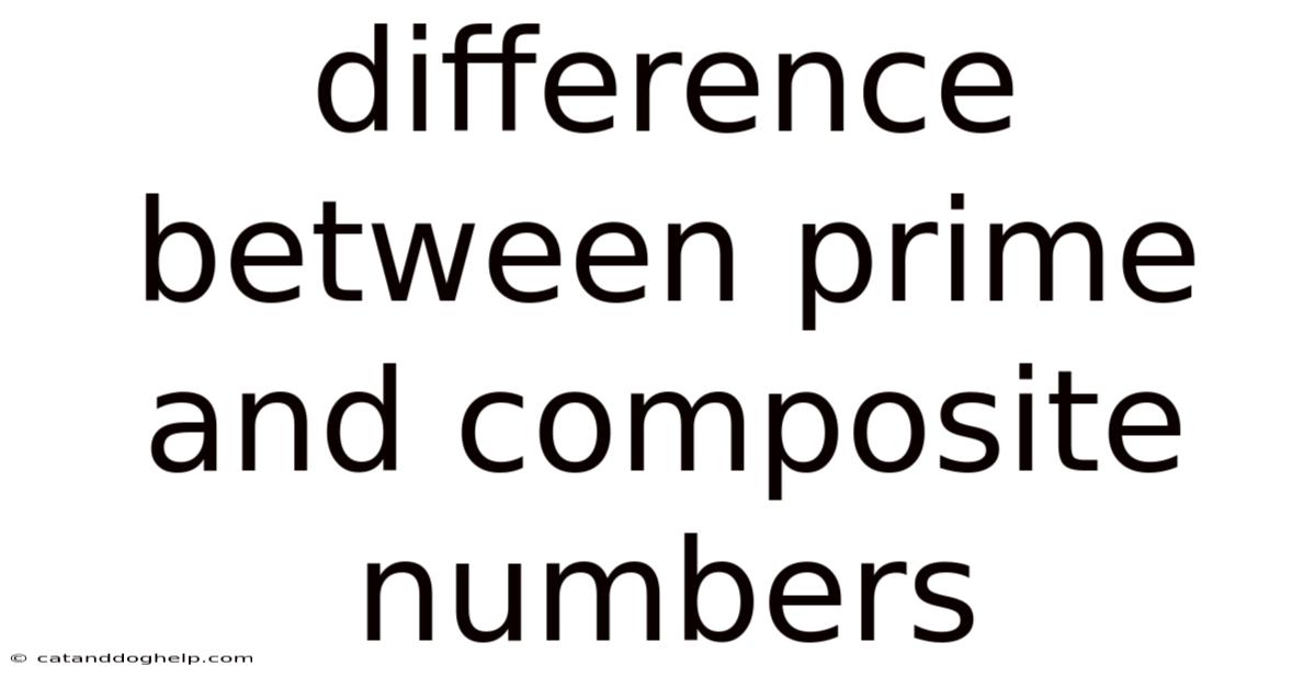 Difference Between Prime And Composite Numbers