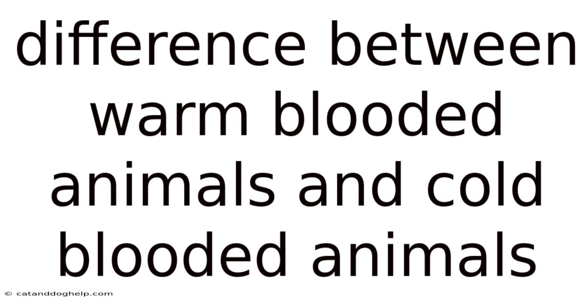 Difference Between Warm Blooded Animals And Cold Blooded Animals