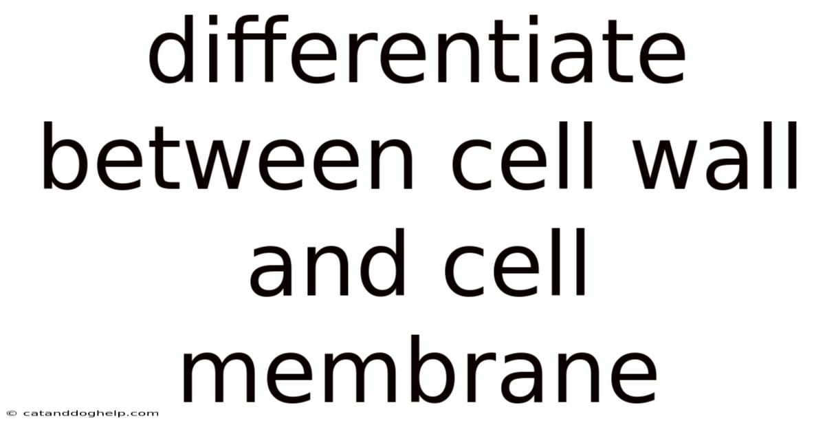 Differentiate Between Cell Wall And Cell Membrane