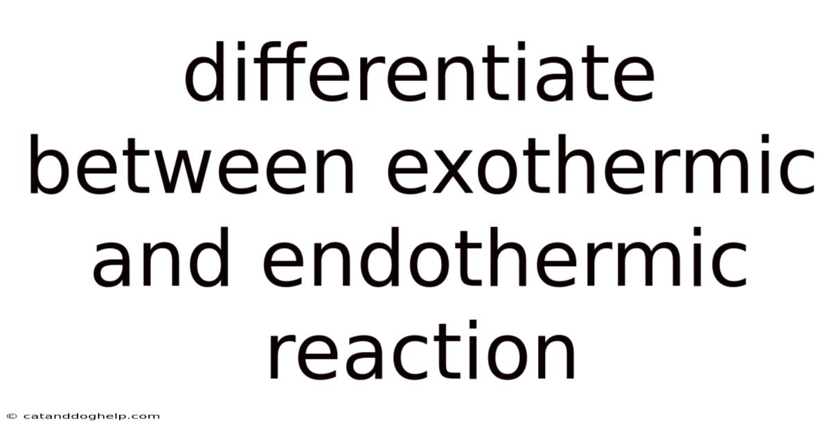 Differentiate Between Exothermic And Endothermic Reaction