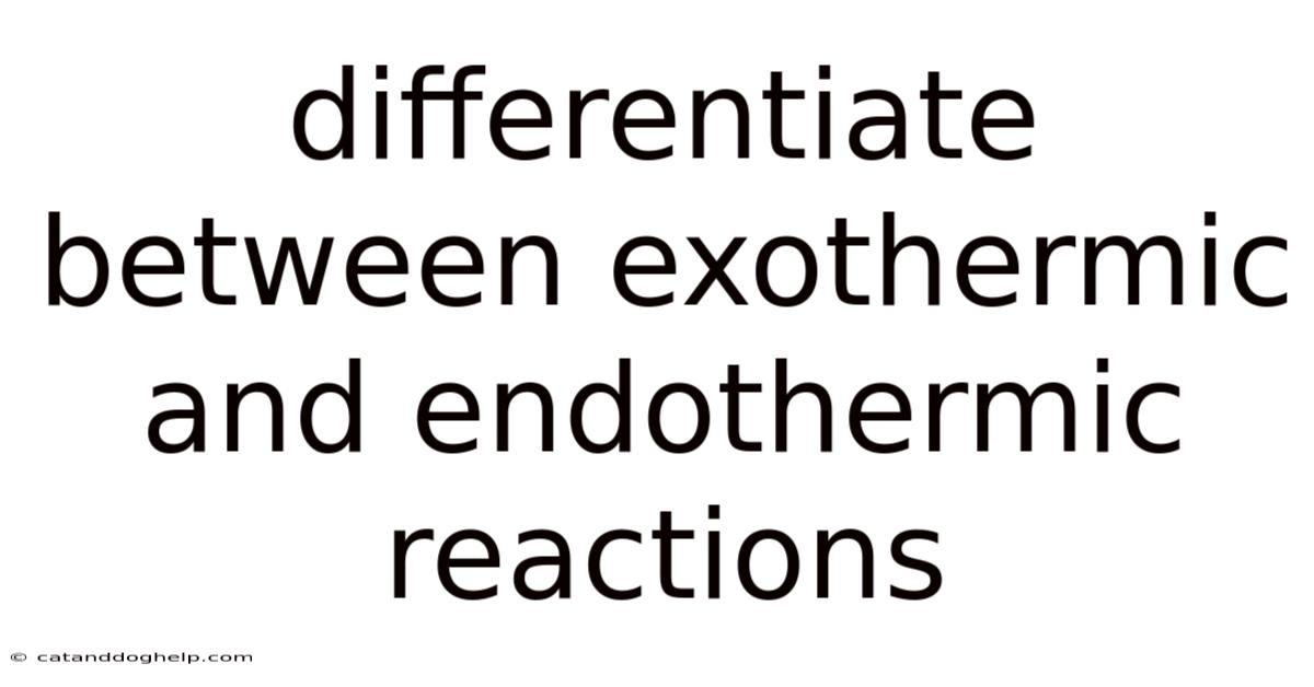 Differentiate Between Exothermic And Endothermic Reactions