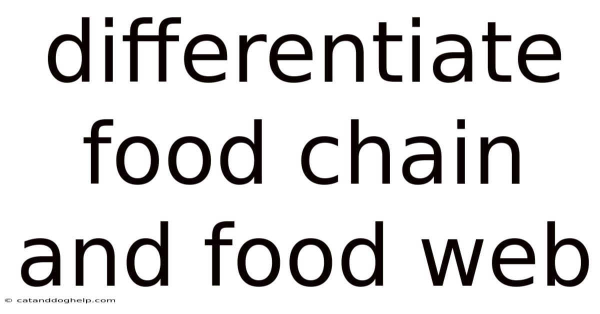 Differentiate Food Chain And Food Web