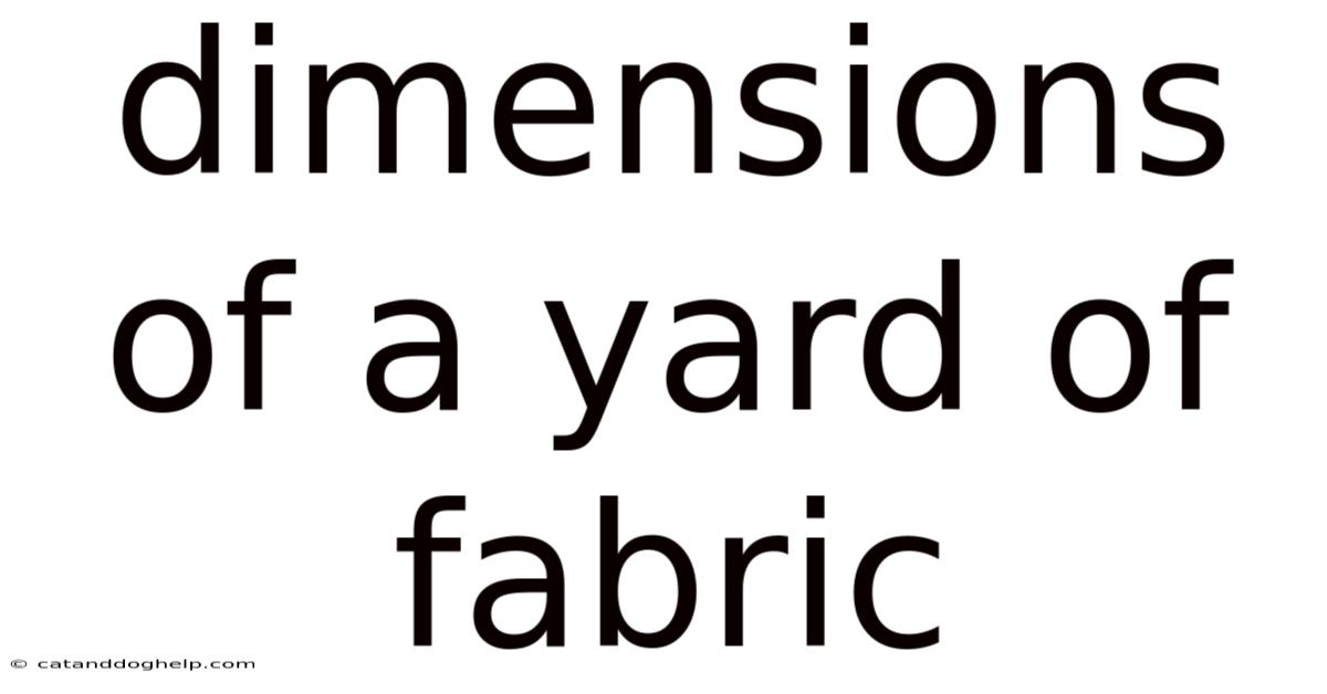 Dimensions Of A Yard Of Fabric