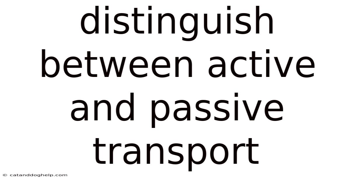 Distinguish Between Active And Passive Transport