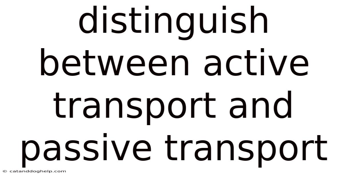 Distinguish Between Active Transport And Passive Transport