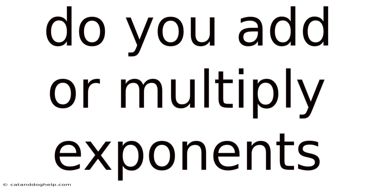 Do You Add Or Multiply Exponents