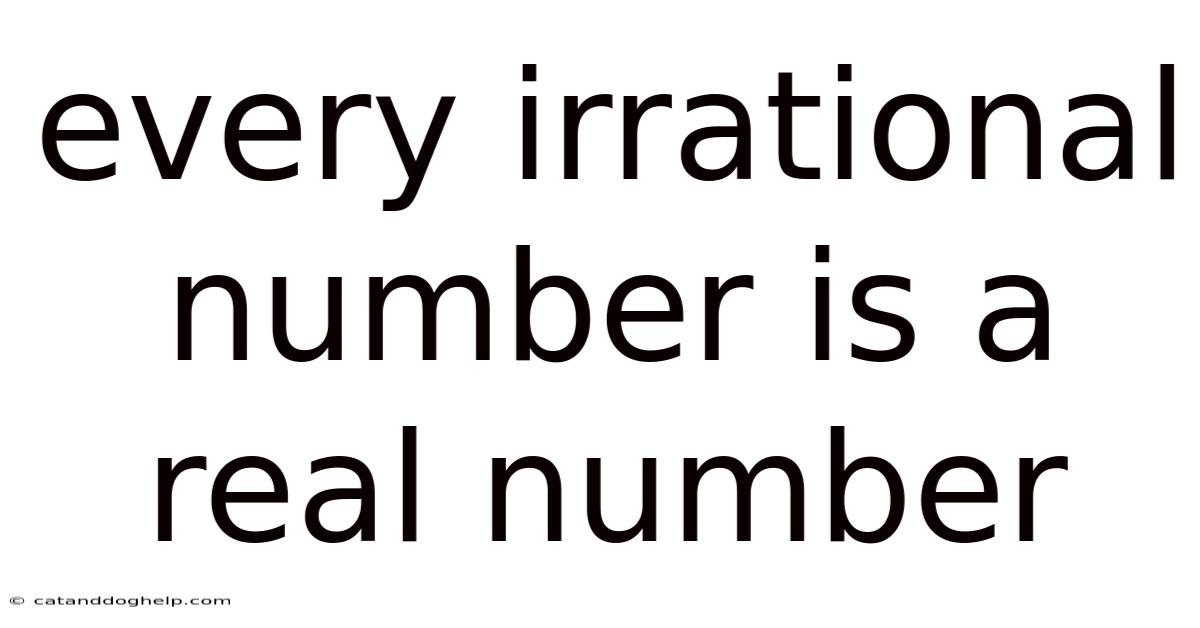 Every Irrational Number Is A Real Number