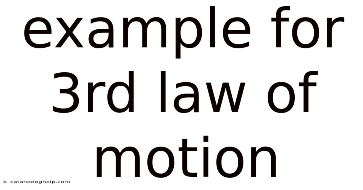 Example For 3rd Law Of Motion
