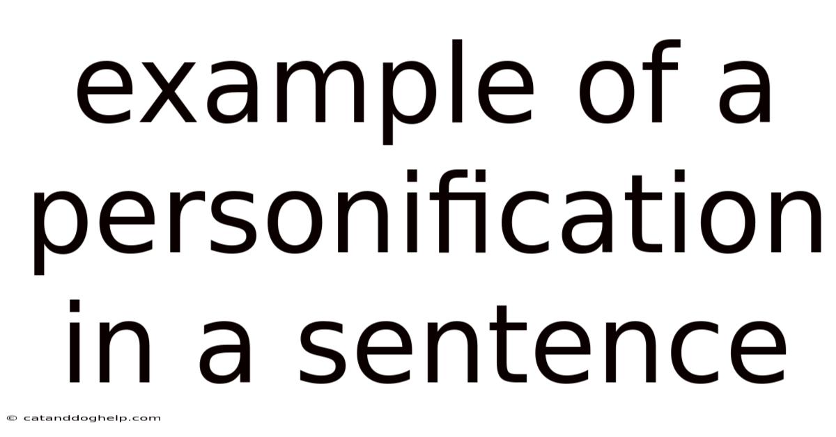 Example Of A Personification In A Sentence