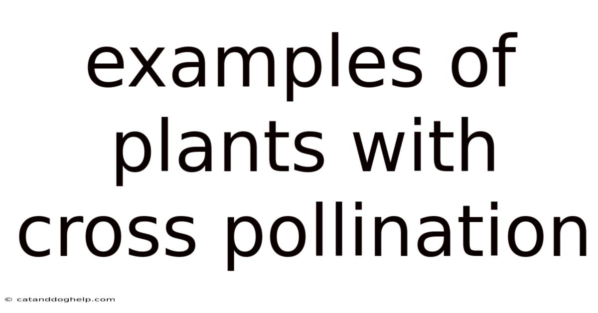 Examples Of Plants With Cross Pollination
